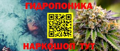 сатива Дубна