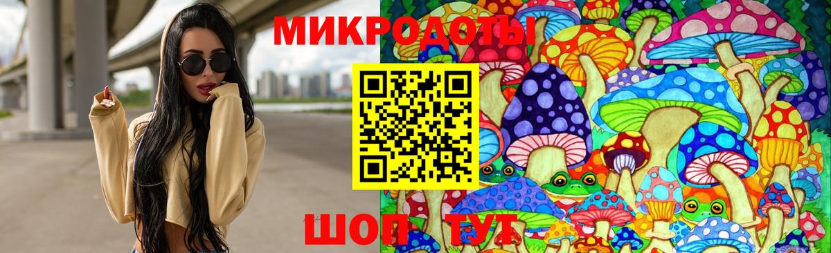 Псилоцибиновые грибы Psilocybine cubensis Дальнереченск