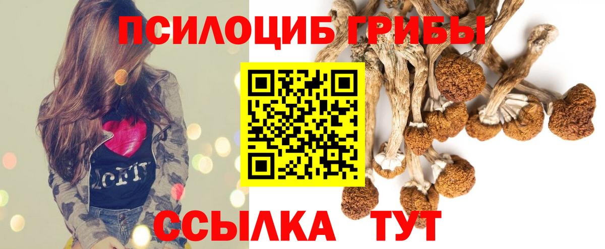 Дальнереченск  Галлюциногенные грибы прущие грибы  Галлюциногенные грибы Psilocybe  Вход с VPN 